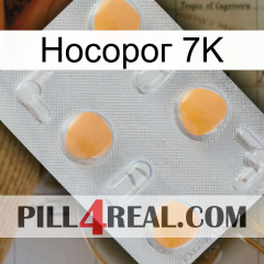 Носорог 7K 24